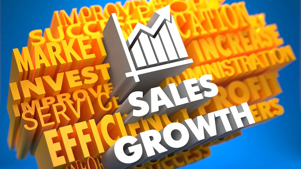 Improve Sales and Profits by Building and Growing Team Performance